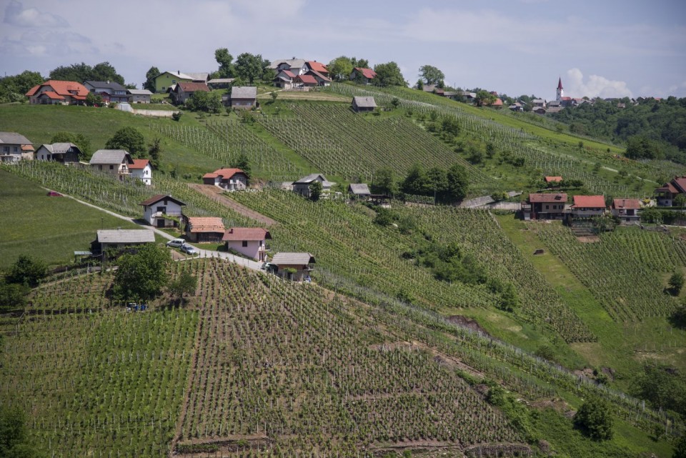 8. maj 2018 - foto povečava