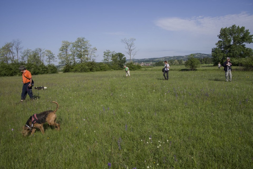 9. maj 18 - foto povečava