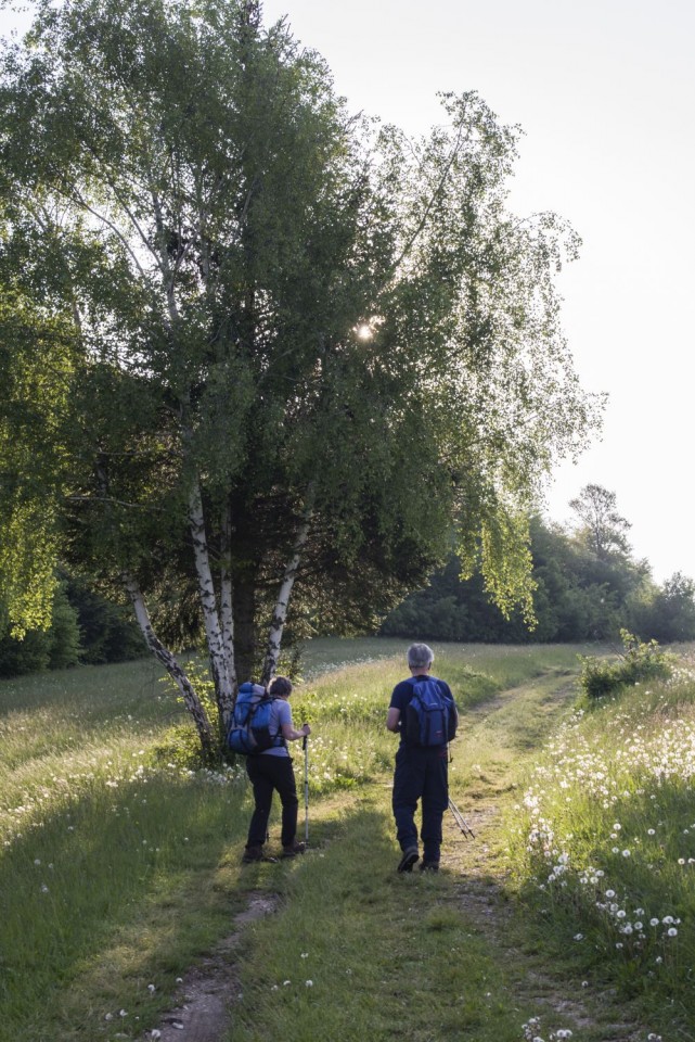 10. maj 18 - foto povečava