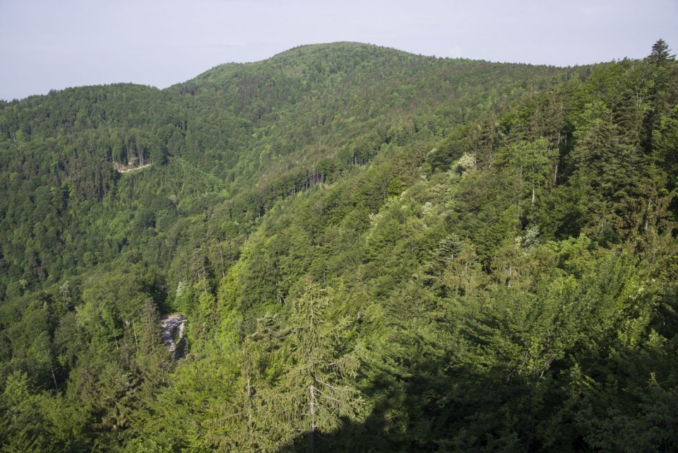 10. maj 18 - foto povečava