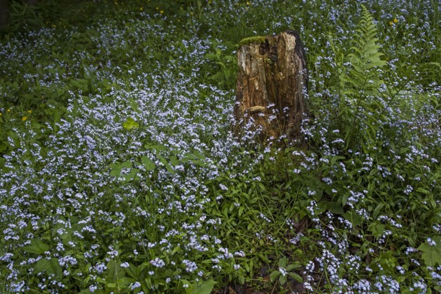 14. maj 18 - foto