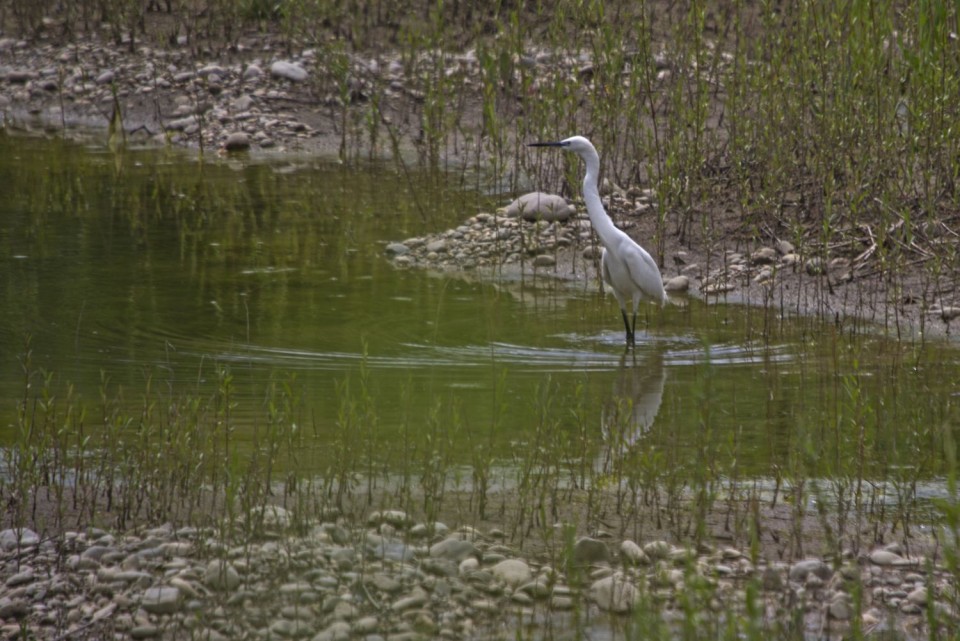 16. maj 18 - foto povečava