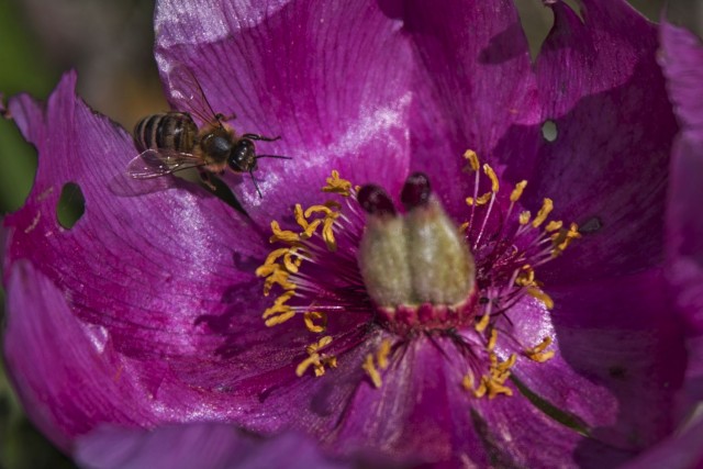 21. maj 18 - foto