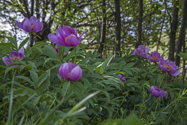 21. maj 18 - foto