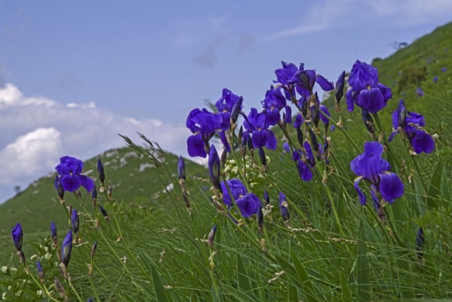 21. maj 18 - foto