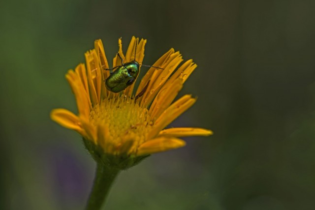 25 maj 18 - foto