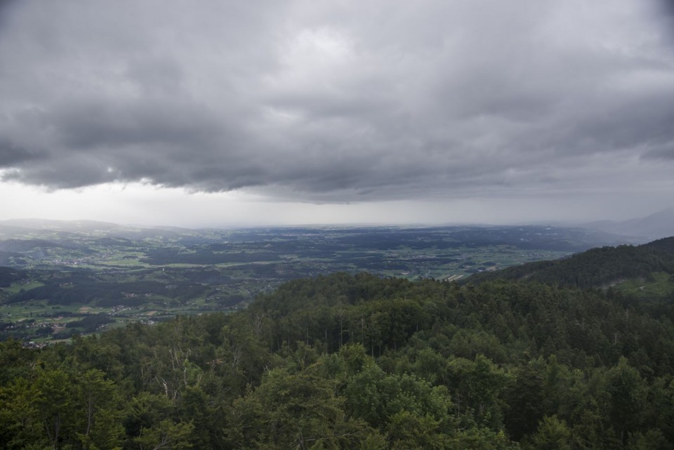 28. junij 18 - foto povečava