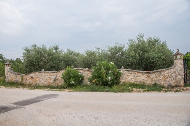 4. julij 18 - foto