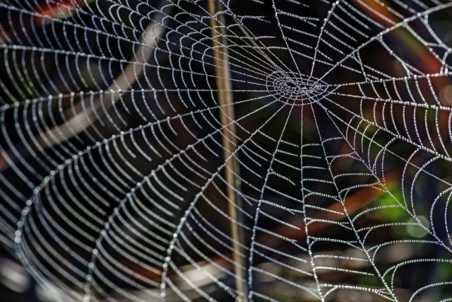 12. sepštember 18 - foto