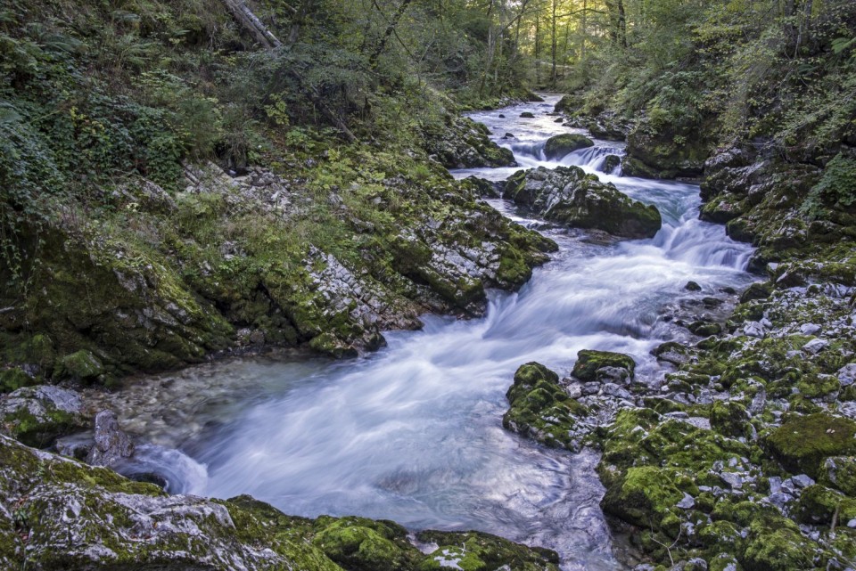 24. september 18 - foto povečava