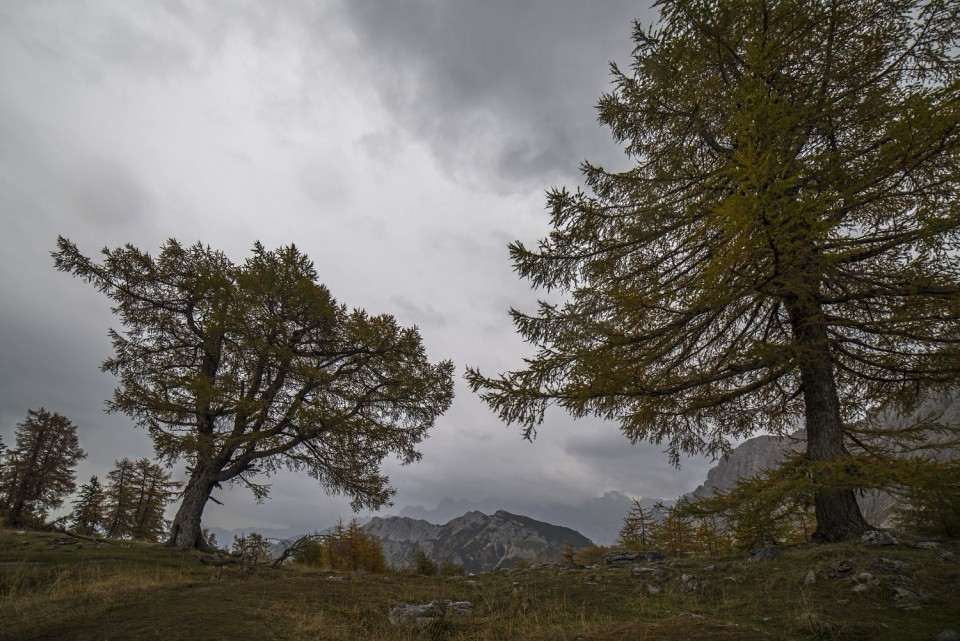 15. oktober 18 - foto povečava