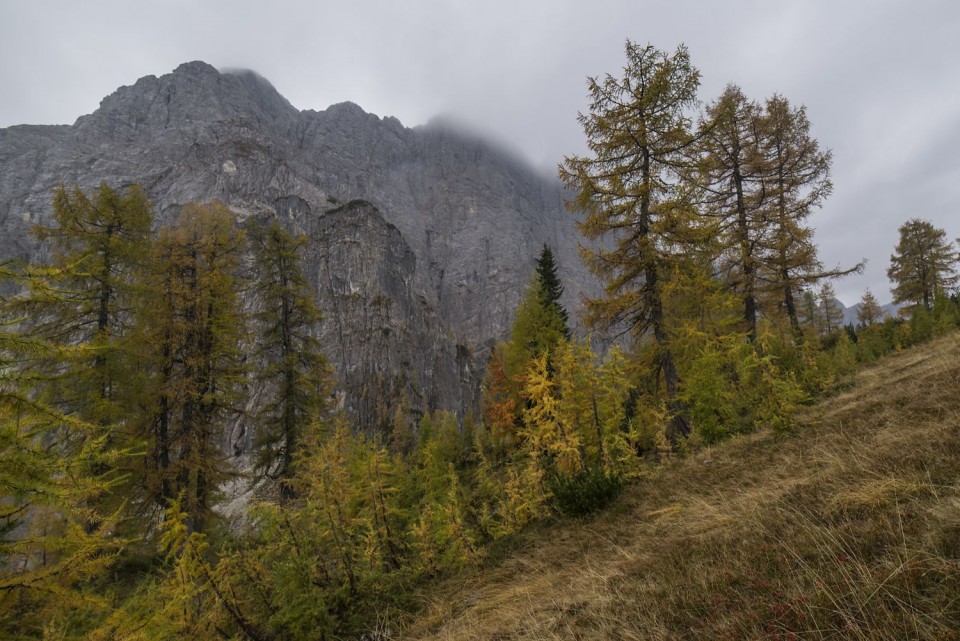 15. oktober 18 - foto povečava