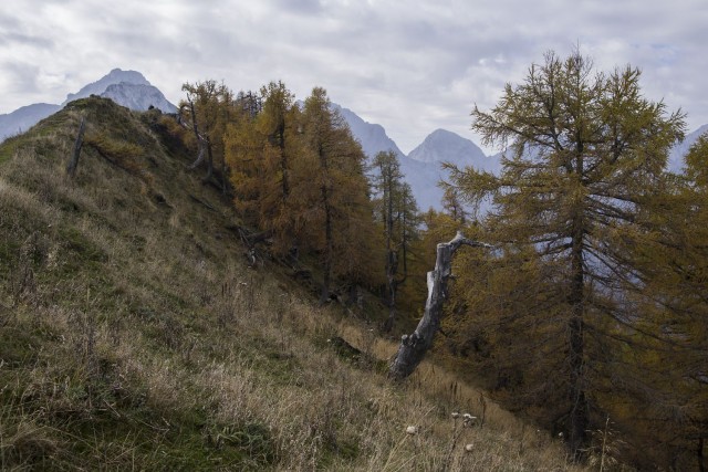 18. oktober 18 - foto