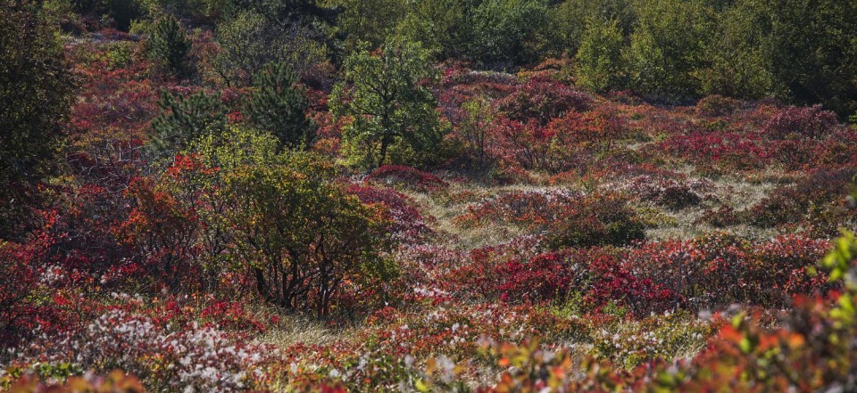 22. oktober 18 - foto povečava