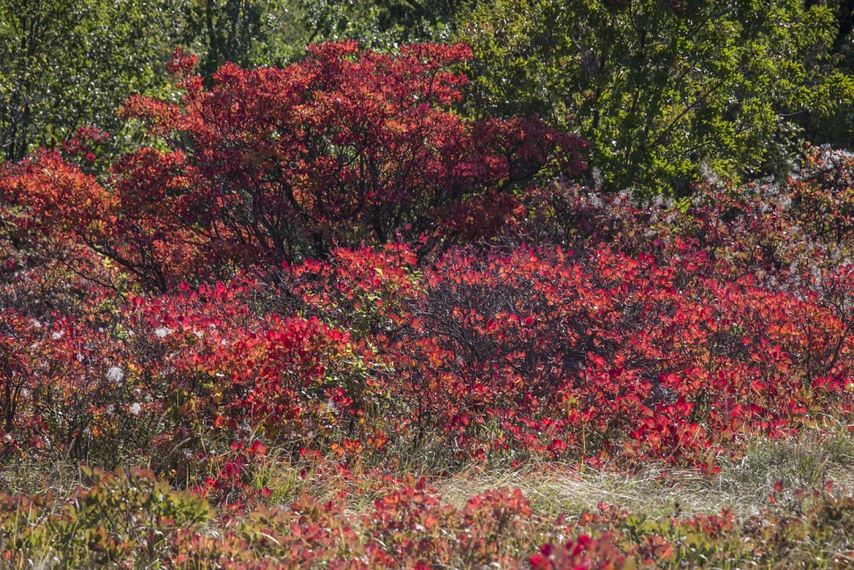 22. oktober 18 - foto povečava