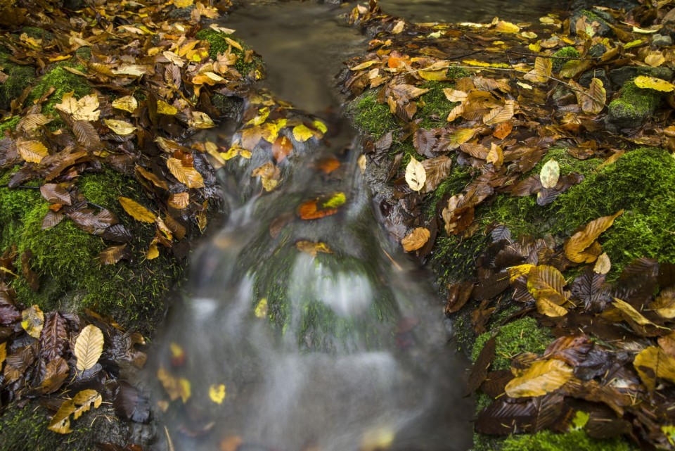 27. oktober 18 - foto povečava