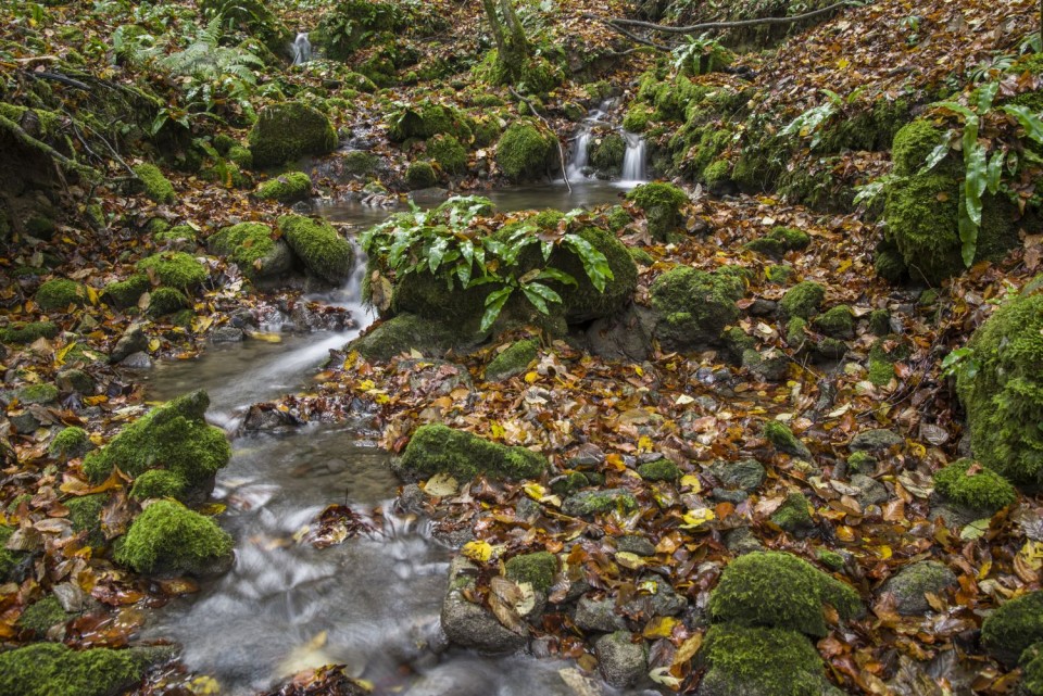 27. oktober 18 - foto povečava