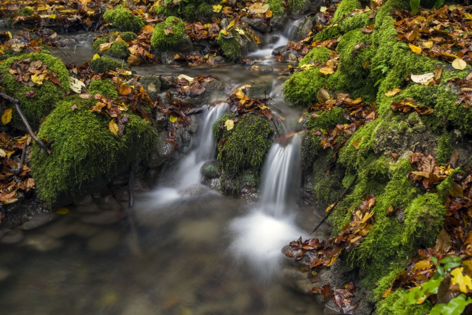 27. oktober 18 - foto povečava