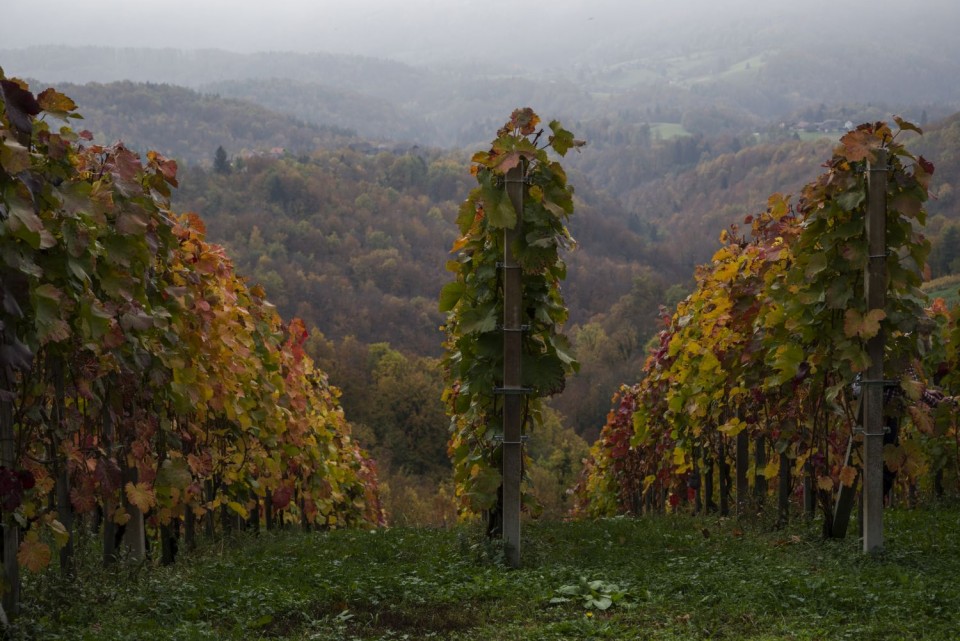 29. oktober 18 - foto povečava