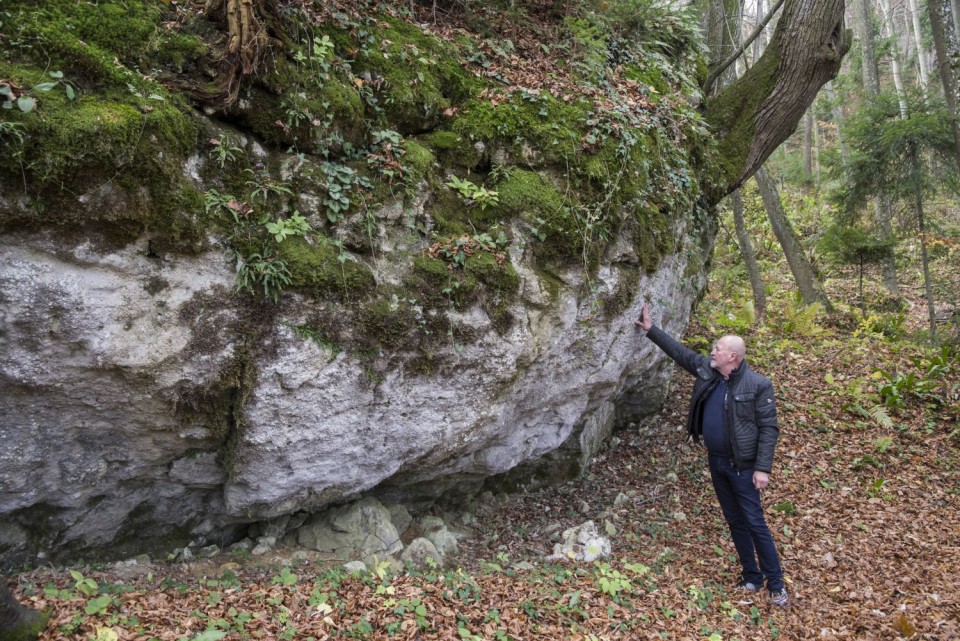 16. november 18 - foto povečava