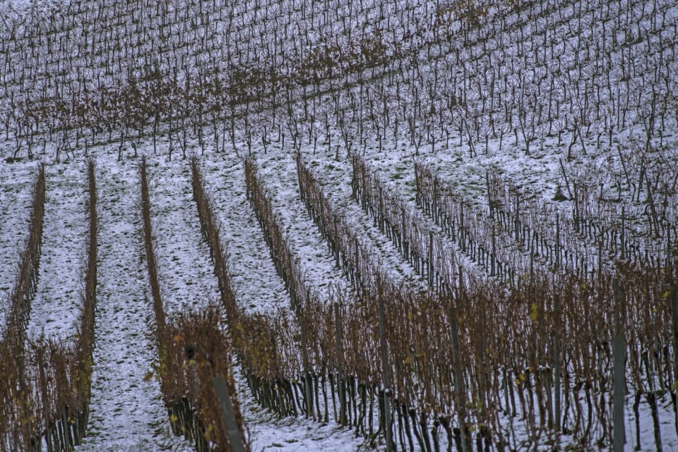 21. november 18 - foto povečava