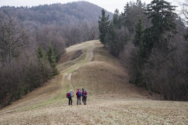 6. december 18 - foto