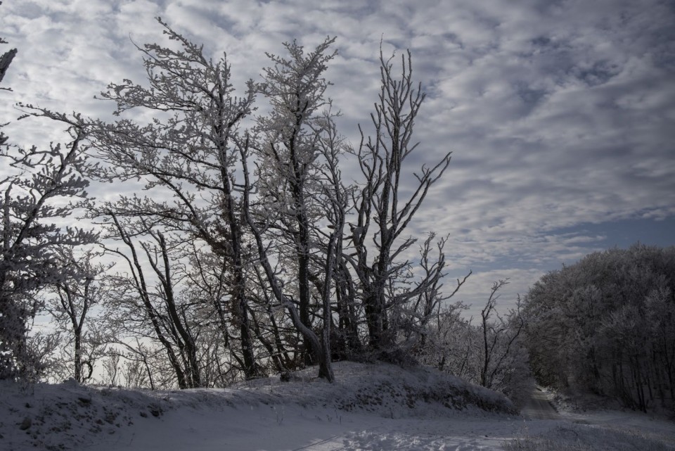 16. december 18 - foto povečava