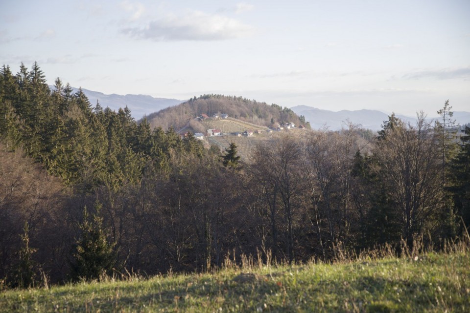 3. januar 19 - foto povečava