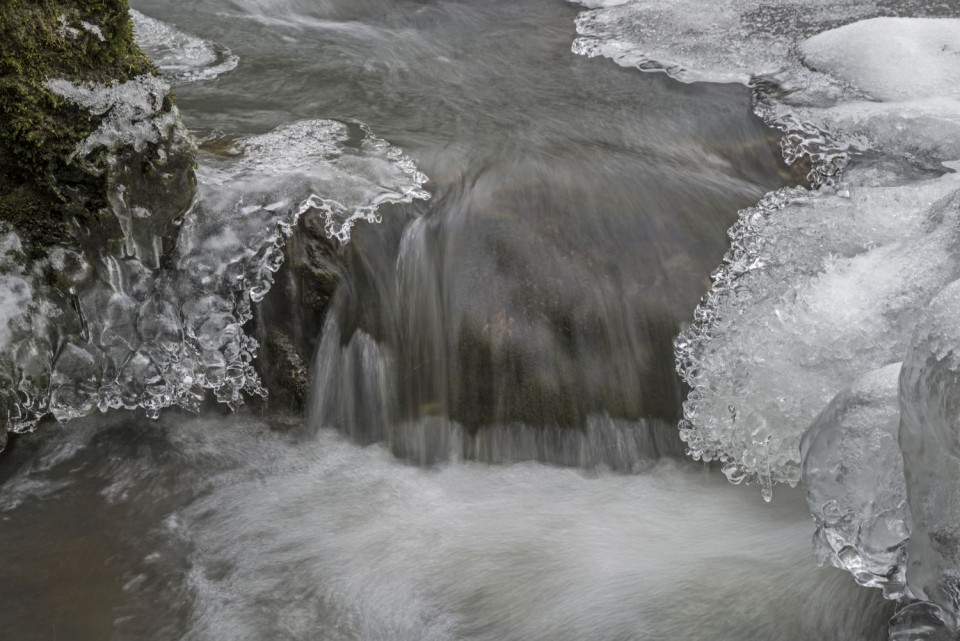 9. januar 19 - foto povečava