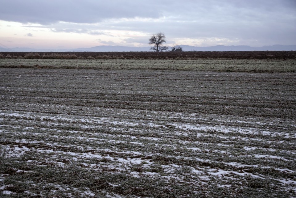 10. januar 19 - foto povečava