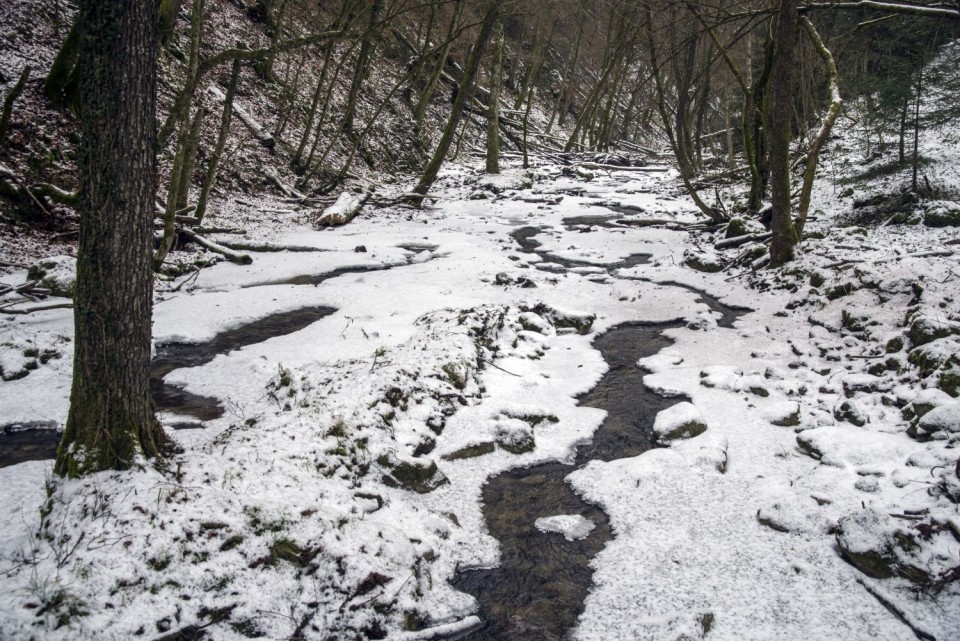 10. januar 19 - foto povečava