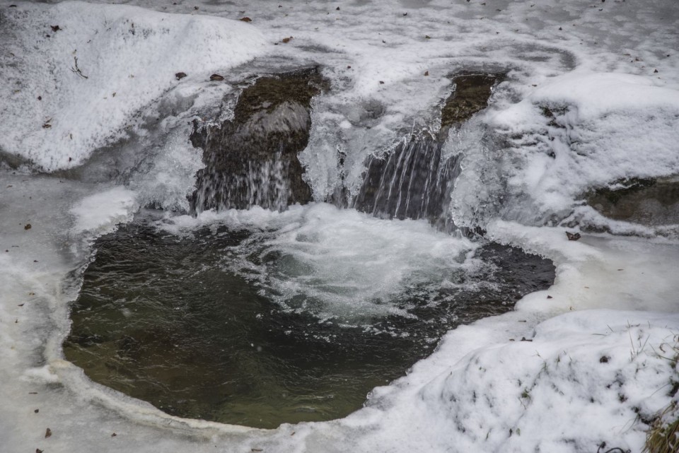 10. januar 19 - foto povečava