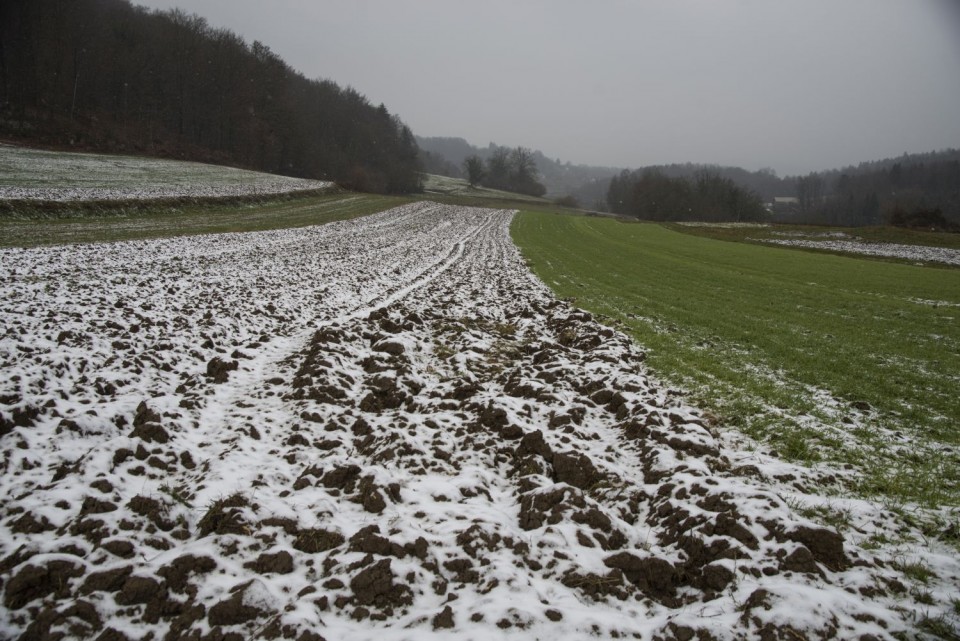 10. januar 19 - foto povečava