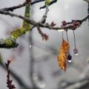 18. januar 19