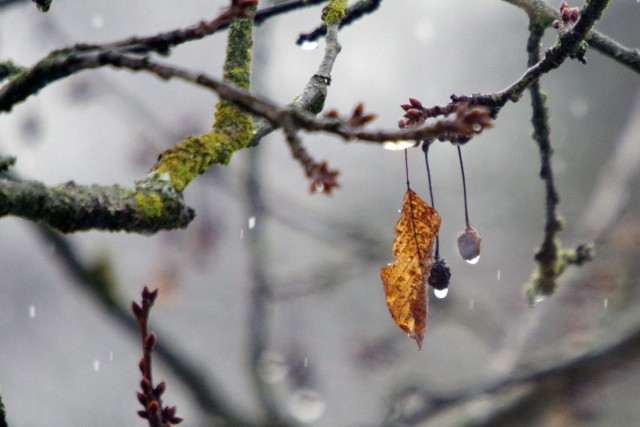 18. januar 19 - foto