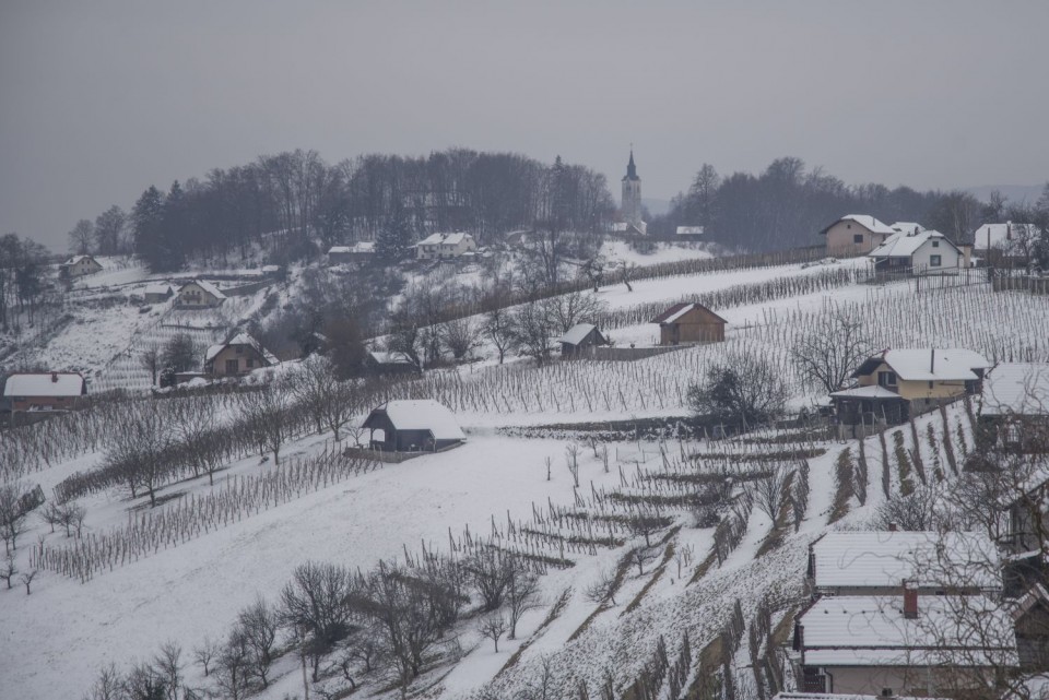 21. januar 19 - foto povečava