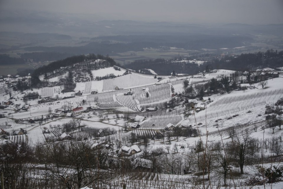 21. januar 19 - foto povečava