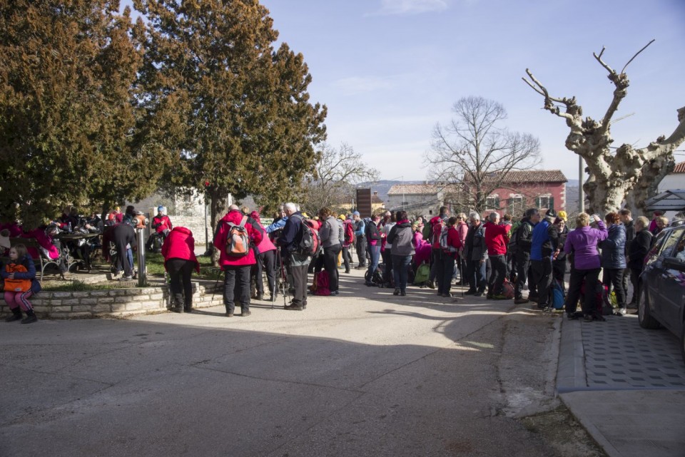 26. januar 19 - foto povečava