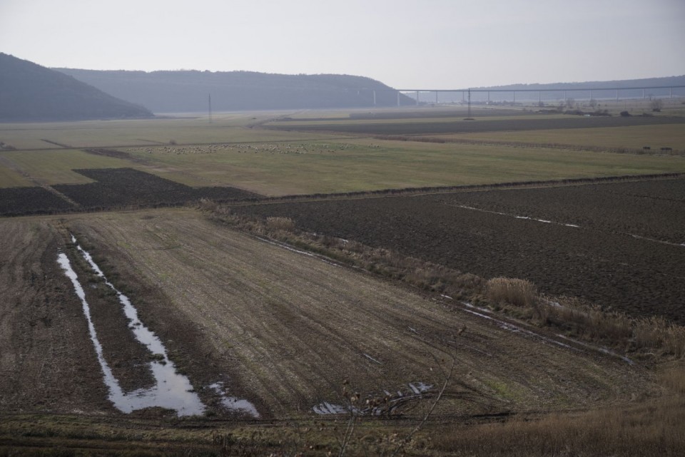 26. januar 19 - foto povečava