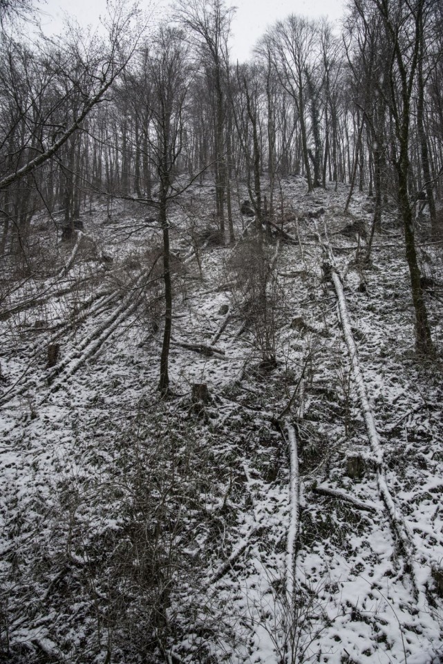 31. januar 19 - foto povečava