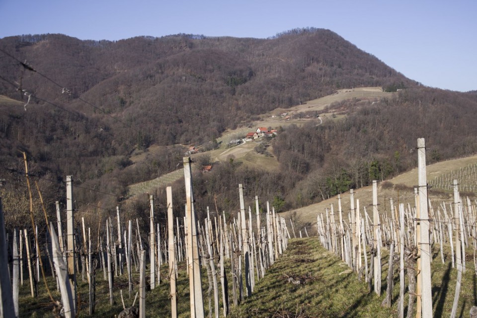 23. februar 19 - foto povečava