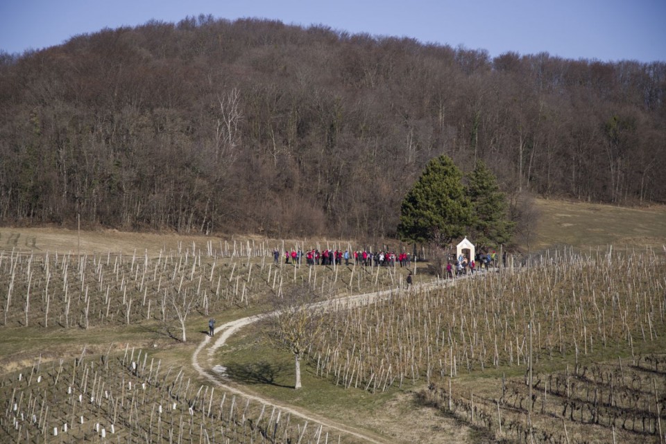 23. februar 19 - foto povečava