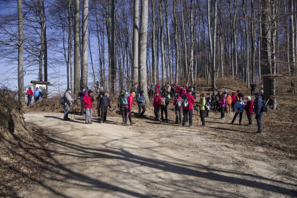 23. februar 19 - foto povečava