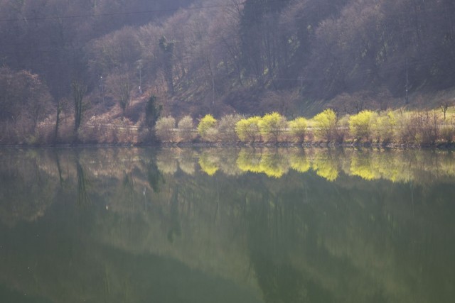 24. marec 19 - foto