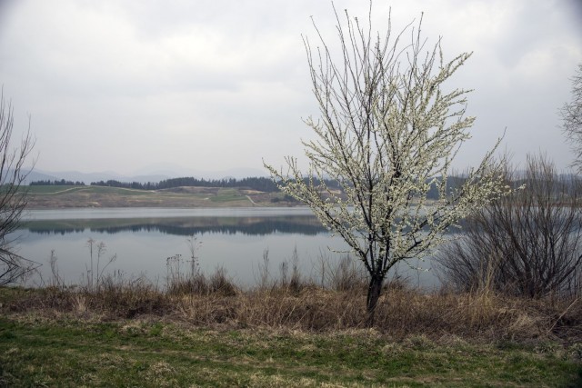 25. marec 19 - foto