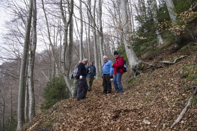 28. marec 19 - foto