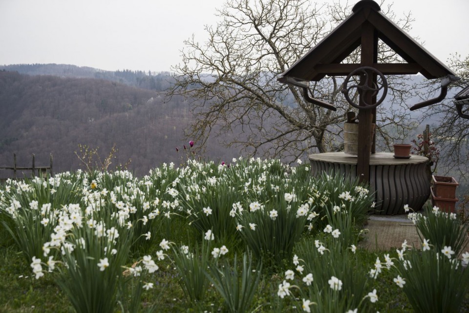 2. april 19 - foto povečava