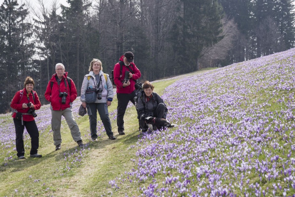 3. april 19 - foto povečava