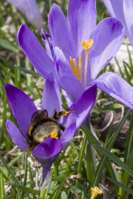 3. april 19 - foto