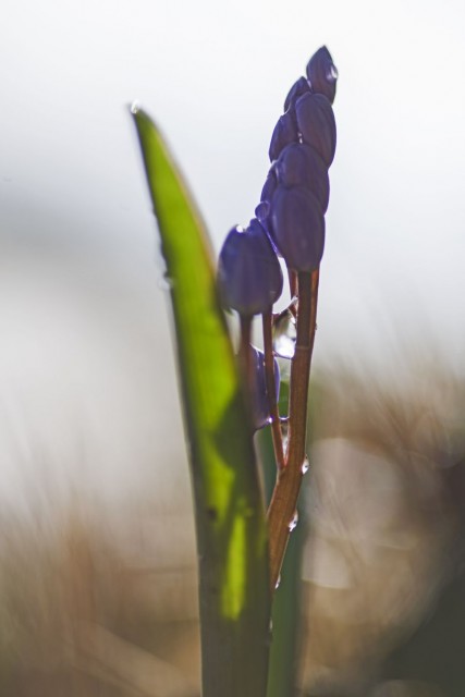 6. april 19 - foto